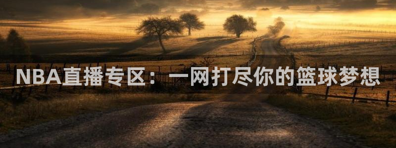 说球帝五大联赛直播免费观看：NBA直播专区：一网打尽你的篮球梦想