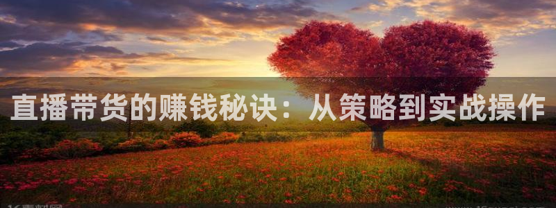 说球帝nba直播：直播带货的赚钱秘诀：从策略到实战操作