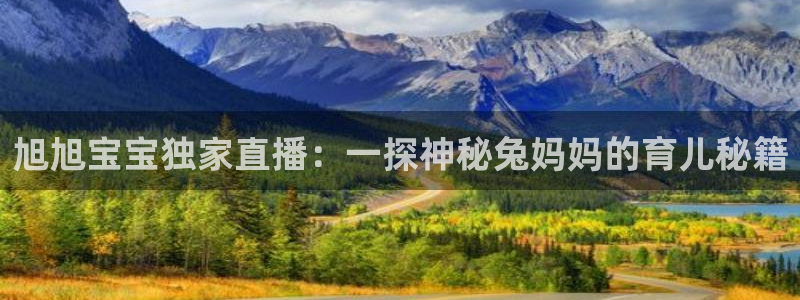 说球帝足球直播：旭旭宝宝独家直播：一探神秘兔妈妈的育儿秘籍