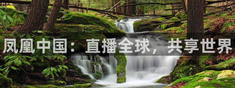 说球帝nba在线直播：凤凰中国：直播全球，共享世界