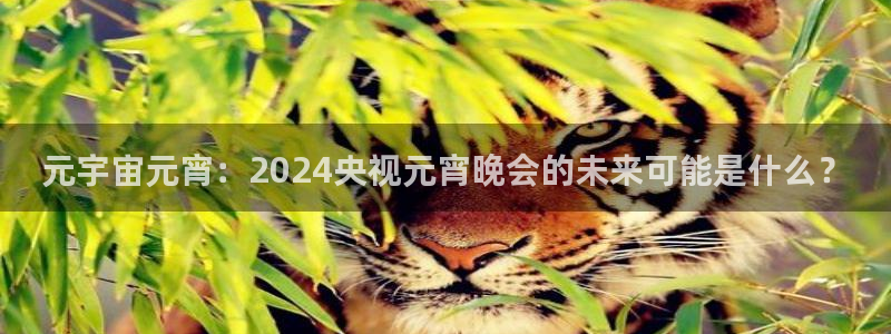 说球帝在线直播app下载：元宇宙元宵：2024央视元宵晚会的未来可能是什么？