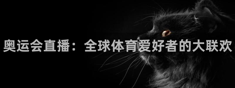 说球帝官网：奥运会直播：全球体育爱好者的大联欢