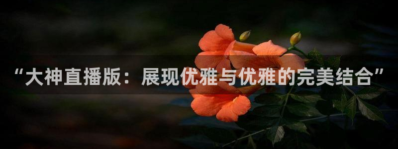 nba在线直播说球帝：“大神直播版：展现优雅与优雅的完美结合”