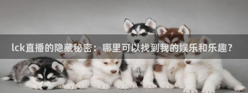直播nba免费观看说球帝：lck直播的隐藏秘密：哪里可以找到我的娱乐和乐趣？