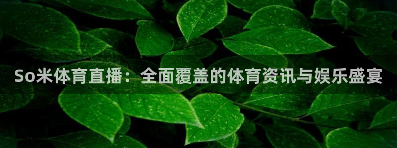 说球帝app官网：So米体育直播：全面覆盖的体育资讯与娱乐盛宴