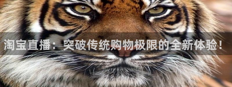 nba在线直播说球帝：淘宝直播：突破传统购物极限的全新体验！