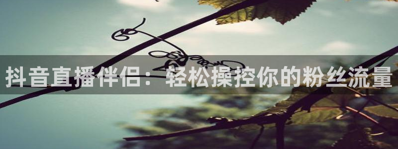 说球帝nba直播在线观看高清免费：抖音直播伴侣：轻松操控你的粉丝流量