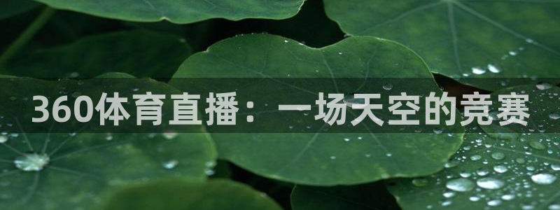 说球帝五大联赛直播免费观看：360体育直播：一场天空的竞赛