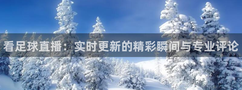 nba免费直播说球帝：看足球直播：实时更新的精彩瞬间与专业评论